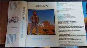 Eric Gavin - Why Is The Sky Blue