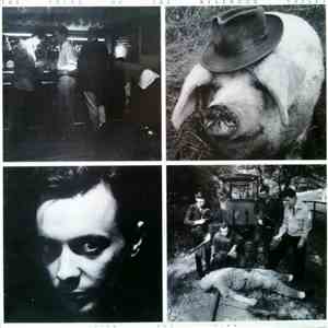 Pink Peg Slax - The Sound Of The Meanwood Valley