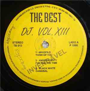 Various - The Best DJ Volume 13