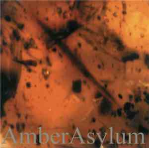 Amber Asylum - Frozen In Amber