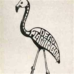 Dead Flamingoes - Habit