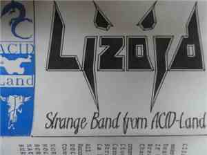Lizard - Strange Band From Acid Land