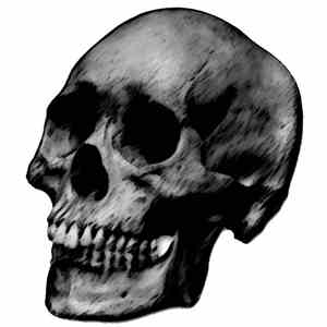 Raw Dada / Napalmed / I,Eternal / Dr. NoiseM - The Black Skull