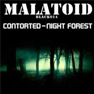 Contorted - Night Forest