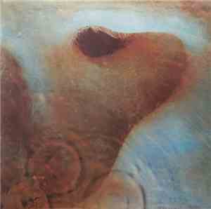 Pink Floyd - Meddle