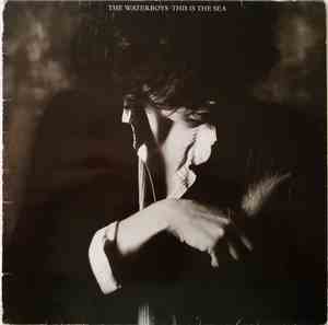 The Waterboys - This Is The Sea