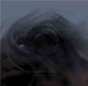 Buioingola - Il Nuovo Mare