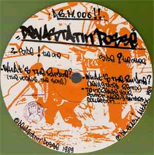 Devastatin' Posse - What's The Rhyme
