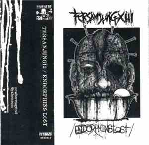 Endorphins Lost, Tersanjung13 - Endorphins Lost / Tersanjung13