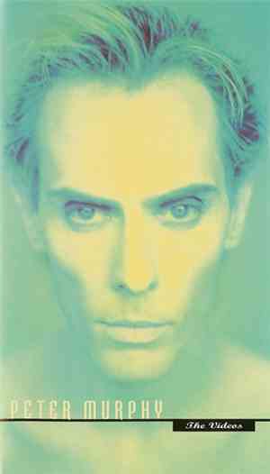 Peter Murphy - Wild Birds - The Videos