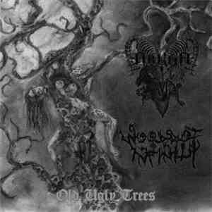 Arkha Sva / Woods Of Infinity - Old Ugly Trees
