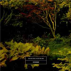 Fourteen Iced Bears - Wonder