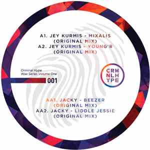 Various - Criminal Hype Wax Series Vol. 1