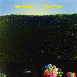 Dim Peaks - Time Of Joy
