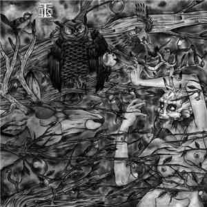 Into The Storm - Light Lovers & Heat Mongers