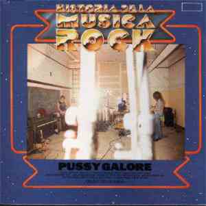 Pussy Galore  - Historia De La Musica Rock