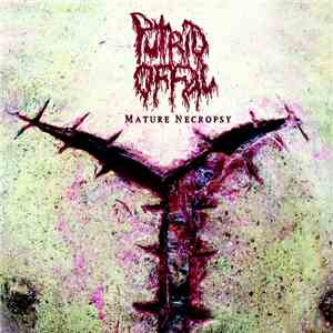 Putrid Offal - Mature Necropsy