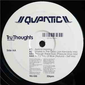 Quantic - Apricot Morning