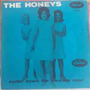 The Honeys - Surfin' Down The Swanee River