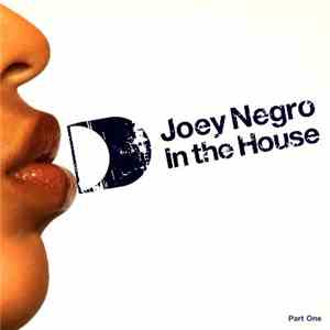 Joey Negro - In The House