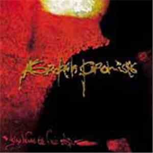 Broken Promises - Dying Before The First Step