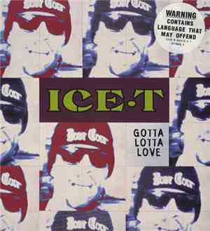 Ice-T - Gotta Lotta Love