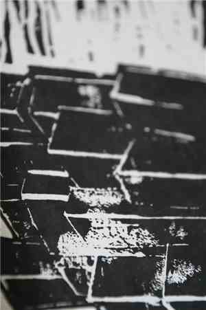 Nils Quak - Moiré / Braille