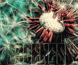 Sageness - Sageness