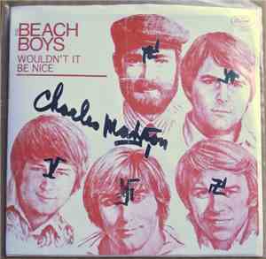 The Beach Boys - Wouldn't It Be Nice (The One Is One DV Drone Mix)