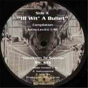 Various - 18 Wit' A Bullet