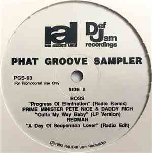 Various - Phat Groove Sampler