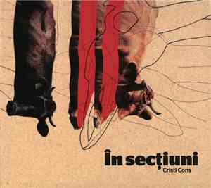 Cristi Cons - În Secțiuni