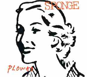 Sponge  - Plowed