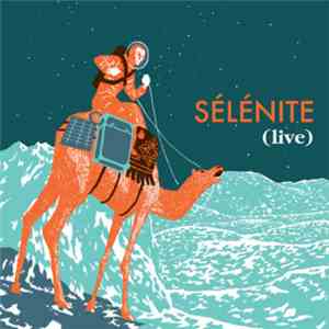 The Cheat Code - Selenite