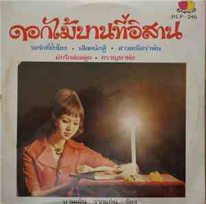 บานเย็น รากแก่น - ดอกไม้บานที่อิสาน