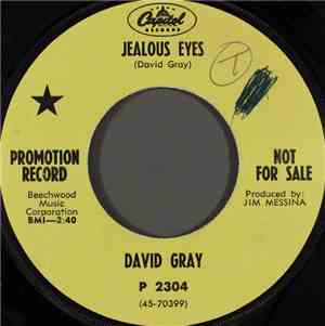 David Gray  - Jealous Eyes