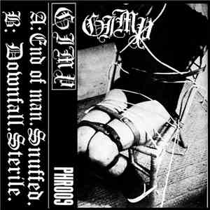Gimp  - 4 Track Tape