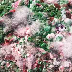 Helen Fry - Future Light Cone