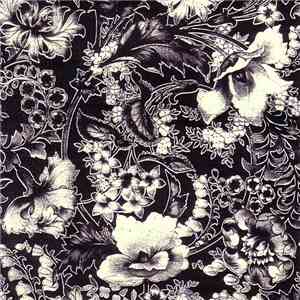 Martin Archer - Ghost Lily Cascade