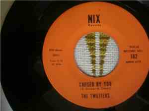 The Twiliters - Caused By You
