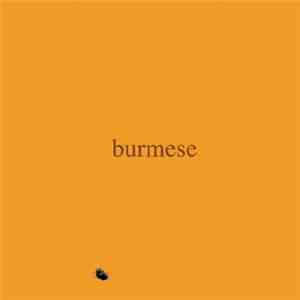 Burmese - Colony Collapse Disorder