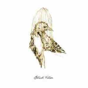 Patrick Watson  - Big Bird In A Small Cage