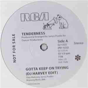 Tenderness - Gotta Keep On Trying