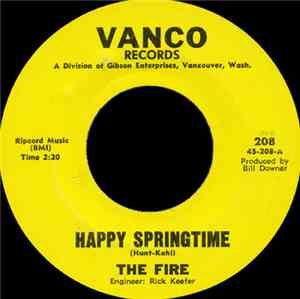 The Fire  - Happy Springtime / Sorry For Tryin'
