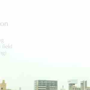 Various - A Quiet Position - Edition One: Field Fest