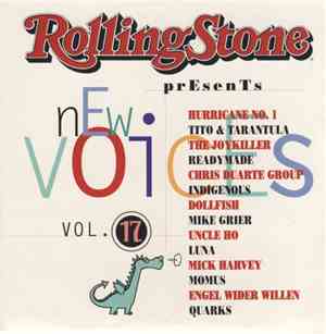 Various - New Voices Vol. 17