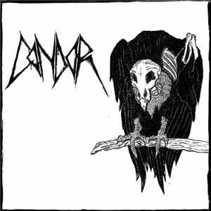Condor  - Condor