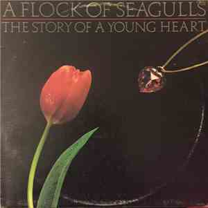 A Flock Of Seagulls - The Story Of A Young Heart