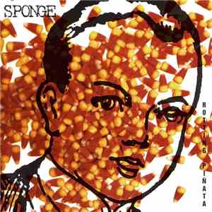 Sponge  - Rotting Piñata