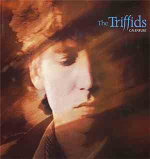 The Triffids - Calenture